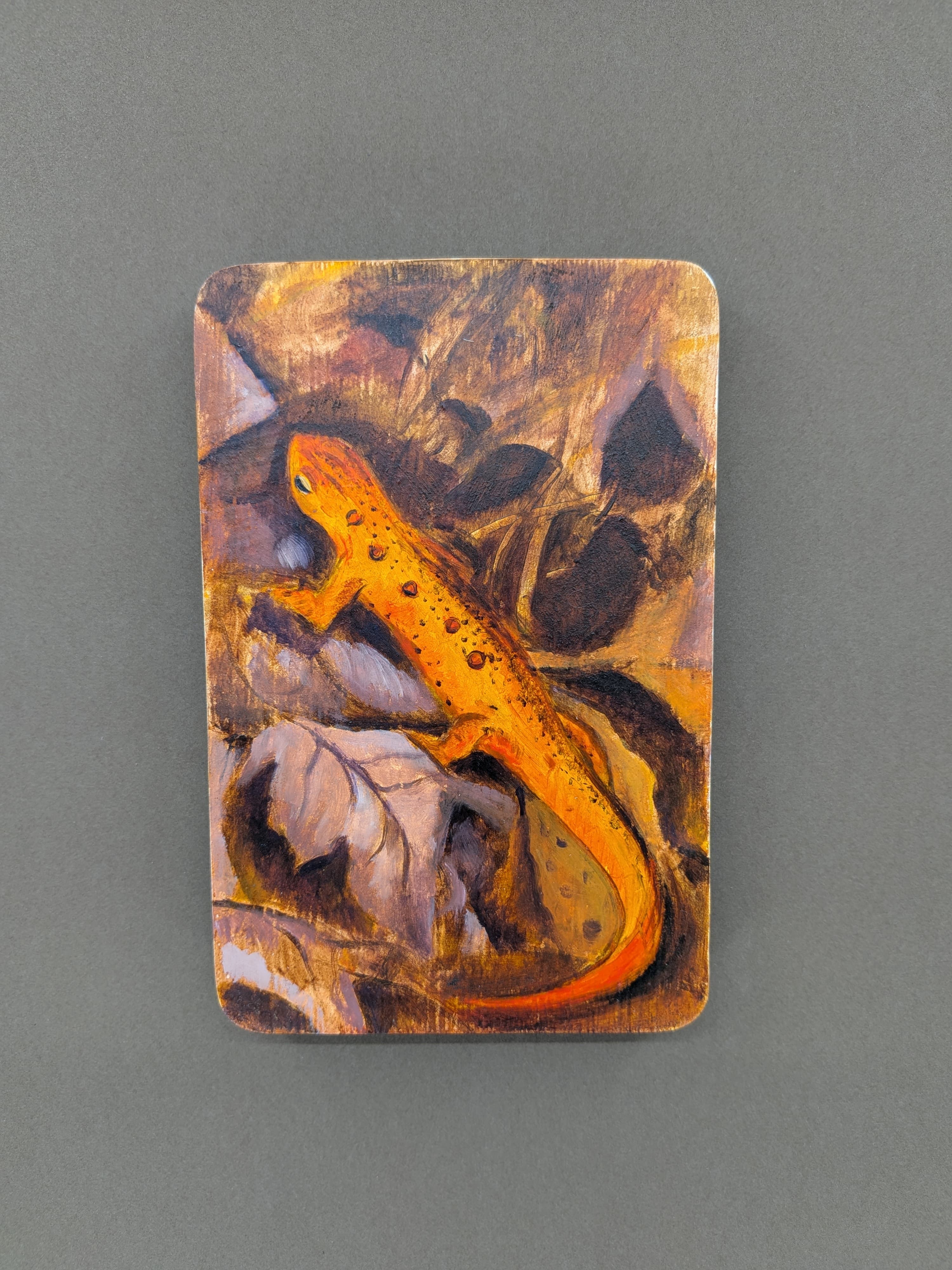 Red Spotted Newt by Ciara Heatherman